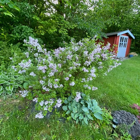 Med Udendors Pool I Ferieby * Arrild
