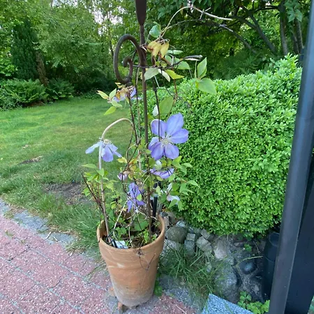 Med Udendors Pool I Ferieby